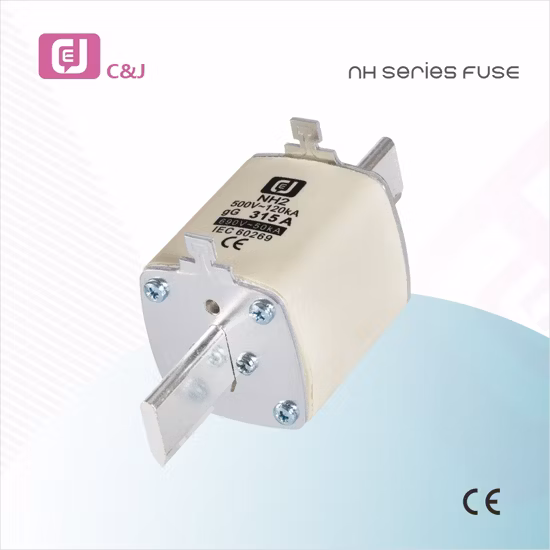 Низковольтный предохранитель серии Nh2 с держателем предохранителя
